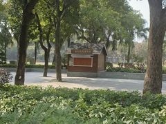-公园茶楼粤式点心