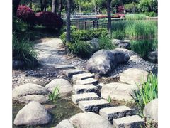 -新虹桥中心花园