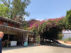 -瑞丽独树成林风景区