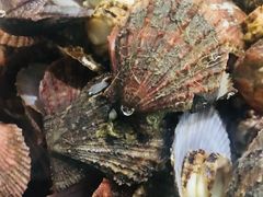 -常家活海鲜小吃(仅一家无分店)