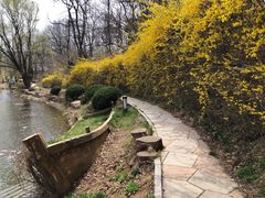 -棒棰岛宾馆景区