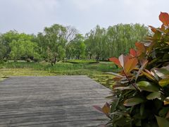 -济宁市太白湖旅游景区