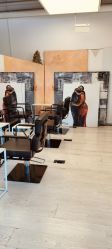 -Hair  Gallery