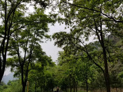 -北京灵山风景区
