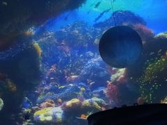 -海昌极光餐厅