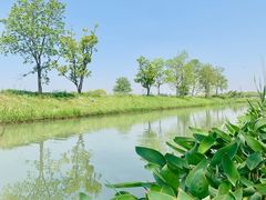 -嘉北郊野公园