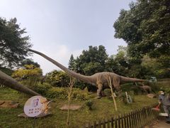 -自贡恐龙博物馆