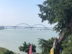 -八仔大富楼·河鲜(西江店)