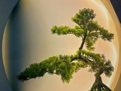 -席仁堂推拿按摩脊柱调理(世纪科贸大厦店)