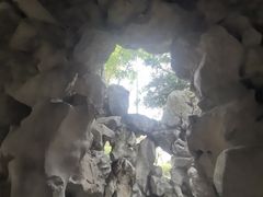 -秋霞圃