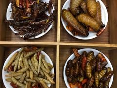-昆虫窝子·特色云南菜(拓东路总店)