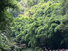 -三峡人家风景区