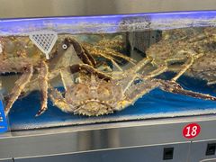 -盒马X会员店(上海森兰商都店)