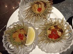 海胆-半岛翡丽海鲜自助餐厅(观风亭店)