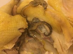 -婆婆家·湛江特色美食(福田振华路店)