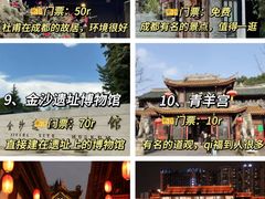 -成都大熊猫繁育研究基地