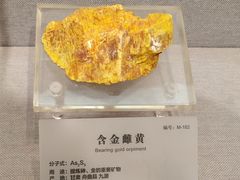 -湖南省地质博物馆