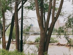 -水车博览园