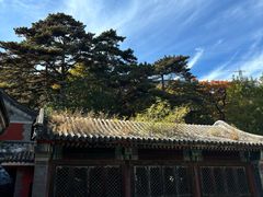 -阳台山自然风景区