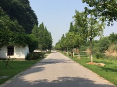 景点-幕燕滨江·长江观音景区