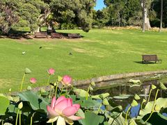 -墨尔本皇家植物园