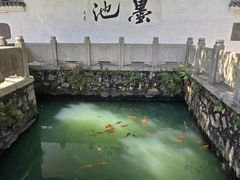 -墨池公园