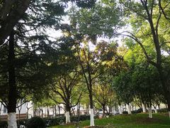 -花溪公园