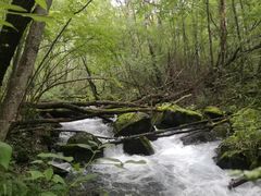 -叠溪松坪沟景区