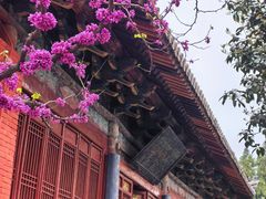 -洛阳白马寺
