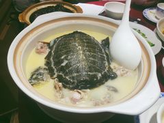 甲鱼汤-老吉士酒家(天平路店)