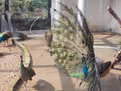 -荆州中山公园动物园