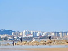 -巧克力渔家.小船海鲜胶东菜(万平口店)