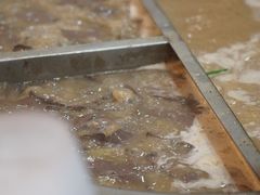 -锦泓老字号猪脏粉(东联大厦店)