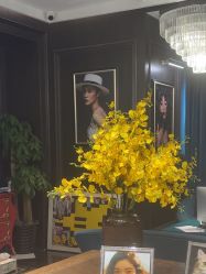 -鼎极摄影(世纪金源店)