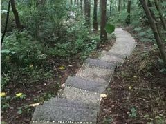 -波尔登森林公园