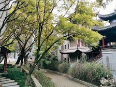 -龙潭水乡