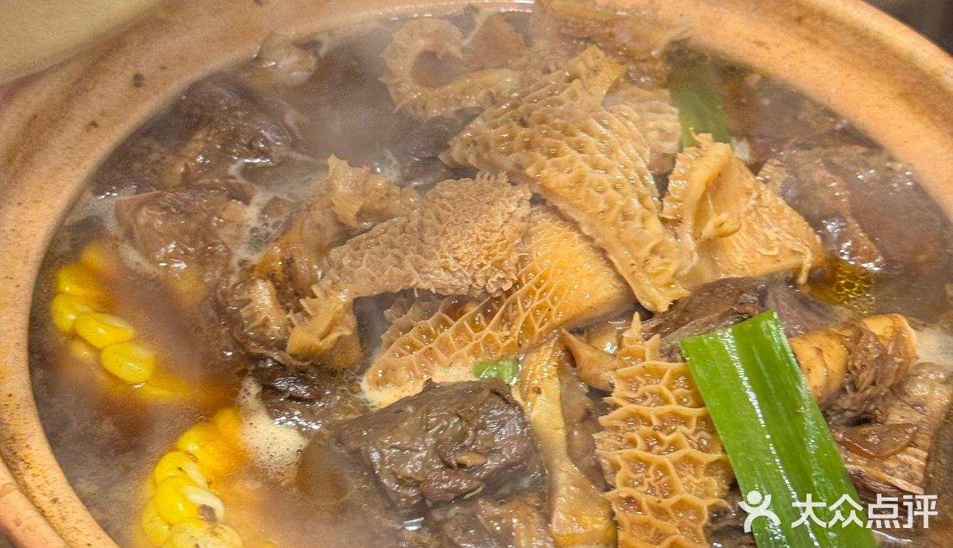 春天的第一锅牛腩煲！这一口也太治愈了～