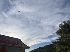 -莲花山公园