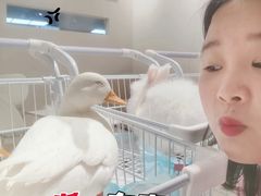 -怪兽屋·羊驼·猫咖·狗咖(俊华广场店)