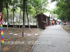 -西青郊野公园