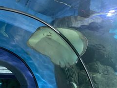 -福州罗源湾海洋世界旅游区