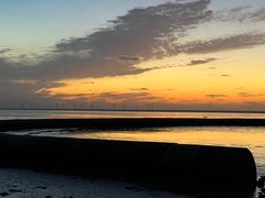 -南汇嘴观海公园