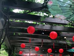 -白马涧龙池景区