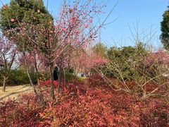 -石湖景区