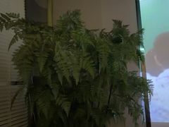 -上足·影院足道·SPA(红岭店)