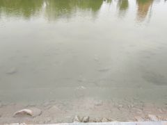 -绿岛公园(滨海新区)