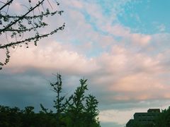 -南京大学-第9食堂