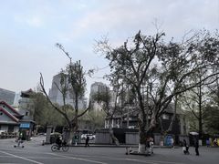 -四川大学(华西校区)