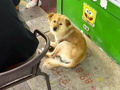 -肯德基(尧佳路店)