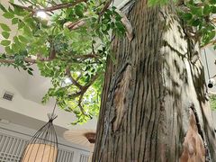 -春熙小馆(乘风庄店)